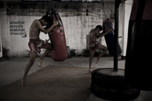 Muay Thai boxing school
