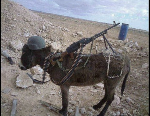 ... -american-will-be-come-like-donkey-afghanistan-funny-animal-pictures