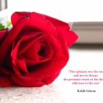 The optimist sees the rose..cute rose quotes