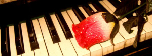 Piano And Rose Facebook Cover