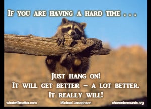 AA Bullying - racoon hanging on - it will get better