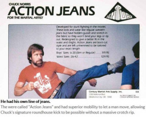 Great Chuck Norris Facts That Are 100 Percent True (10 pics) - Picture ...