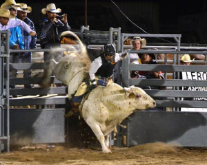 Lane Frost Bull Riding