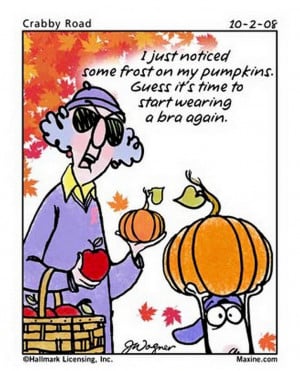 Here's a blast of Maxine cartoons that I found rather funny.