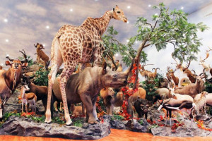 Via dailyrecord.co.uk