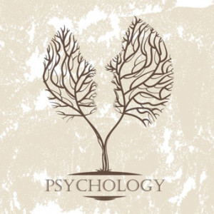 The Great Myths of Popular Psychology: Shattering Misconceptions About ...