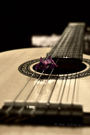 Acoustic Guitar.♥ This thing is Magical when the right person plays ...