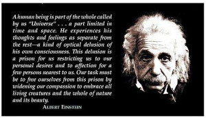 logic quotes wallpaper einstein quotes fish god insanity picture 16133