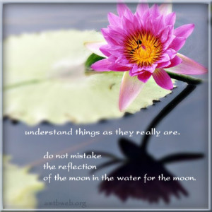 Words of Wisdom of the day: Understanding things as they really are ...