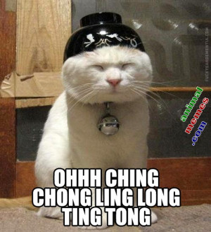 Ohh Ching Cat Meme
