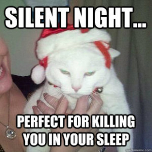 Silent Night The Song And Grumpy Cat Original Pic >