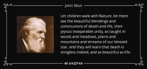 ... that death is stingless indeed, and as beautiful as life. - John Muir