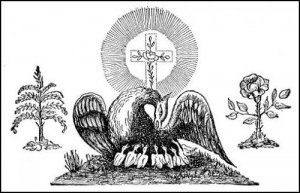 ... Phoenix is a symbol of resurrection as well as the coming antichrist