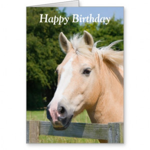 Beautiful horse head palamino happy birthday card