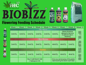 Thread: my own biobizz feeding schedule