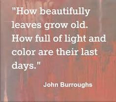 How beautifully leaves grow old. How full of light and color are ...