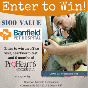Banfield Pet Hospital Heartworm Prevention #Giveaway $100 value ...