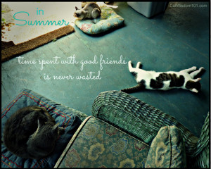 Earlier that day, I found Merlin and his pair-bonded bro Gris Gris ...