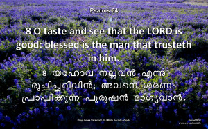Psa 34:8 O taste and see that the LORD is good: blessed is the man ...
