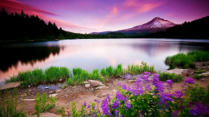colorful nature photo colorful nature hd nature background colorful ...