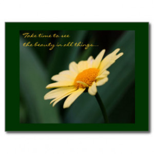 Daisy Inspirational Flower Photo Postcard