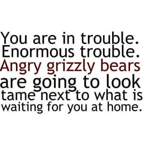 angry grizzly bears eclipse quote (:found on Polyvore