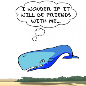 Whale quote #1