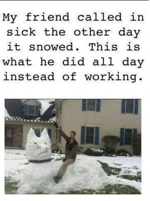 funny-picture-sick-cat-snow