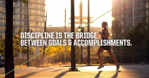 Discipline is the bridge