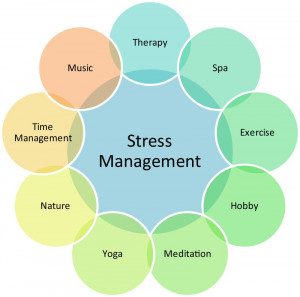 nobody is immune to stress stress is necessary to keep us functioning ...