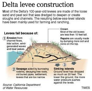 ... levee system that protects sunken 