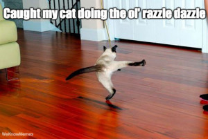 Caught my cat doing the ol’ razzle dazzle