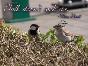 HTML Embed Code for Myspace, Hi5, Tagged, Friendster: