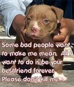 Put an end to BSL - share this image with everyone and appeal to them ...