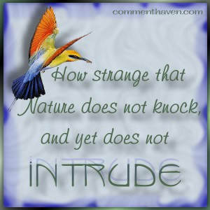 Intrude picture for facebook