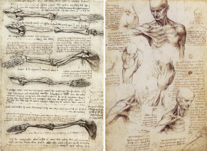 leonardo_da_vinci_anatomy_drawings.jpg