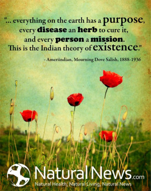 everything on Earth has a purpose, every disease an herb to cure it ...