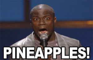 kevin hart quotes seriously funny
