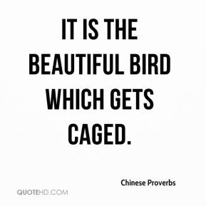 Quotes About Being a Caged Bird