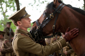 Bild zu War Horse ( 2011 )
