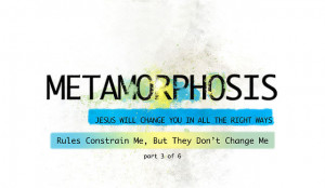 METAMORPHOSIS 3/6:Rules Constrain Me, But They Don't Change Me
