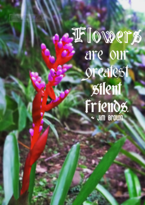 Flower are our Greatest Silent Friends ~ Flowers Quote