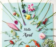 Hello April Please Be Kind Pictures, Photos, and Images for Facebook ...