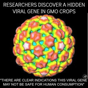 ... Your Cold? Threat Of 'Killer' Viral Plant Gene Is Latest Anti-GMO Rant