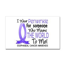 Means World To Me 1 Esophageal Cancer Sticker (Rec for