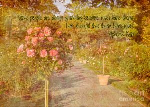 Vintage Rose Garden With Quote Photograph