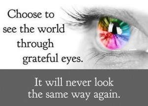 Choose to see the world through grateful eyes. It will never look the ...