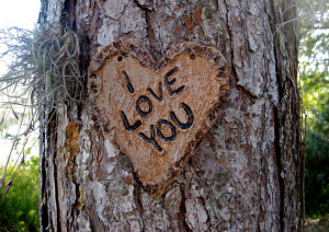 Heart with I Love You Carved into Tree Pottery