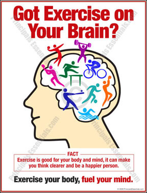 got exercise on your brain item # e51 fact exercise is good for your ...