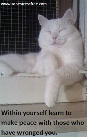 Follow me on Facebook